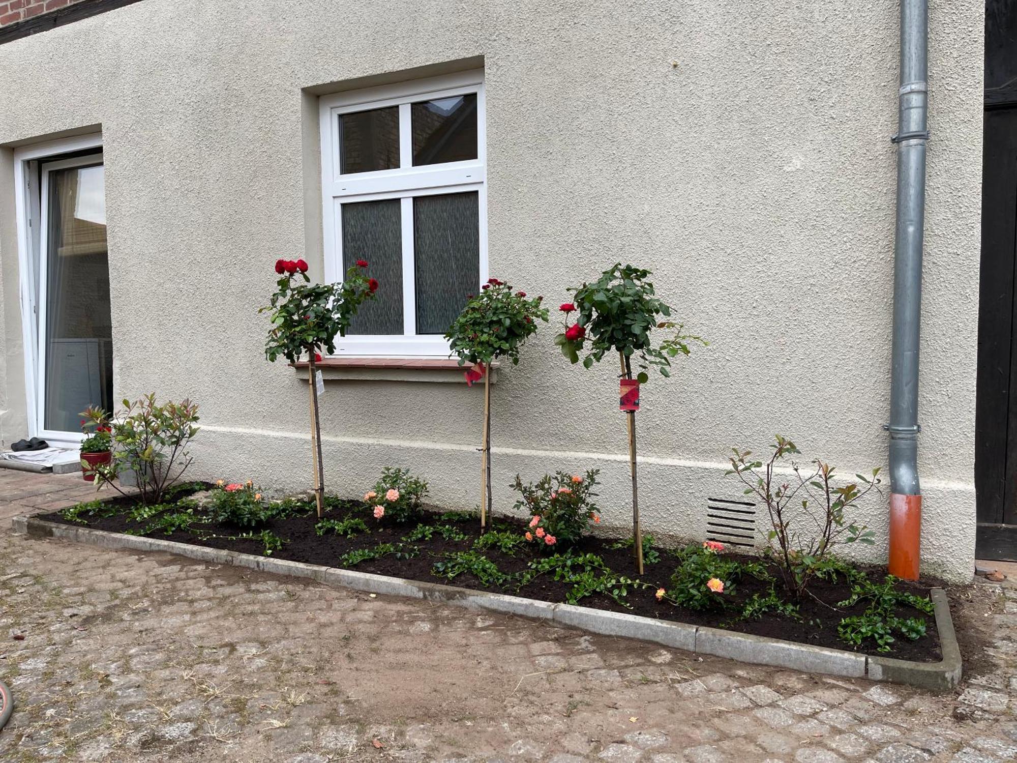 슈베린 Hofquartier Schwerin 아파트 외부 사진